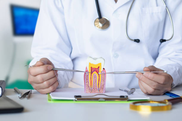 Best Emergency Root Canal Treatment in Whitfield, PA